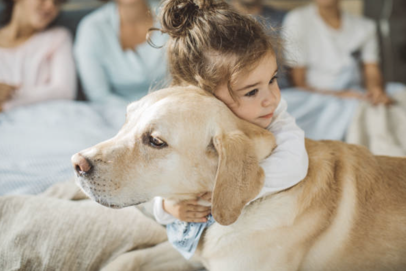 Things to Keep in Mind When Adopting a Pet for Your Child